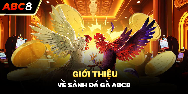 Giới thiệu về sảnh đá gà ABC8